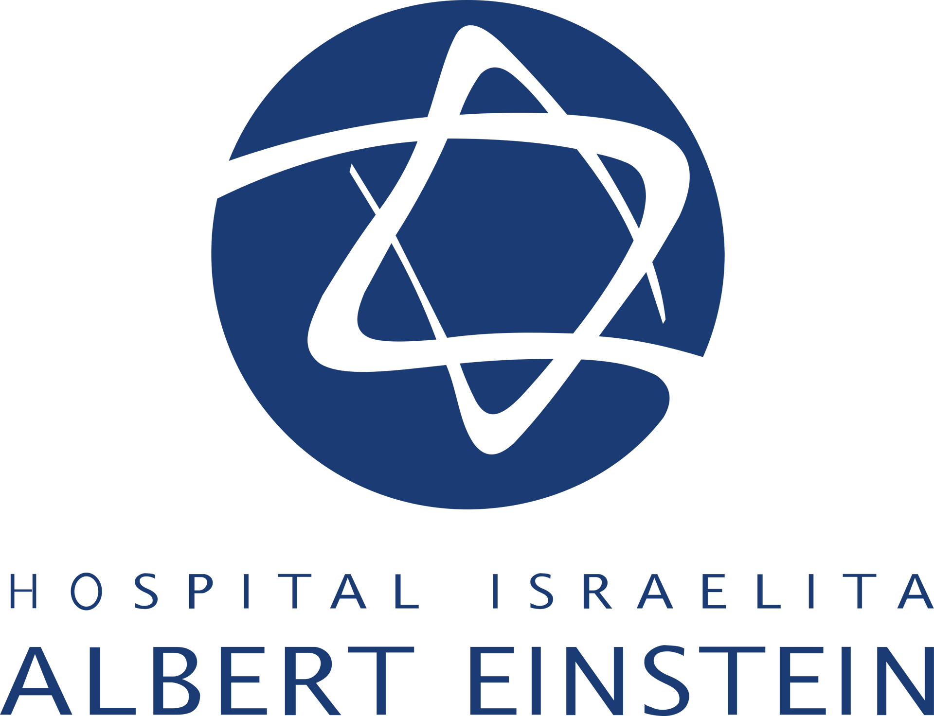 O logotipo do hospital israelita albert einstein