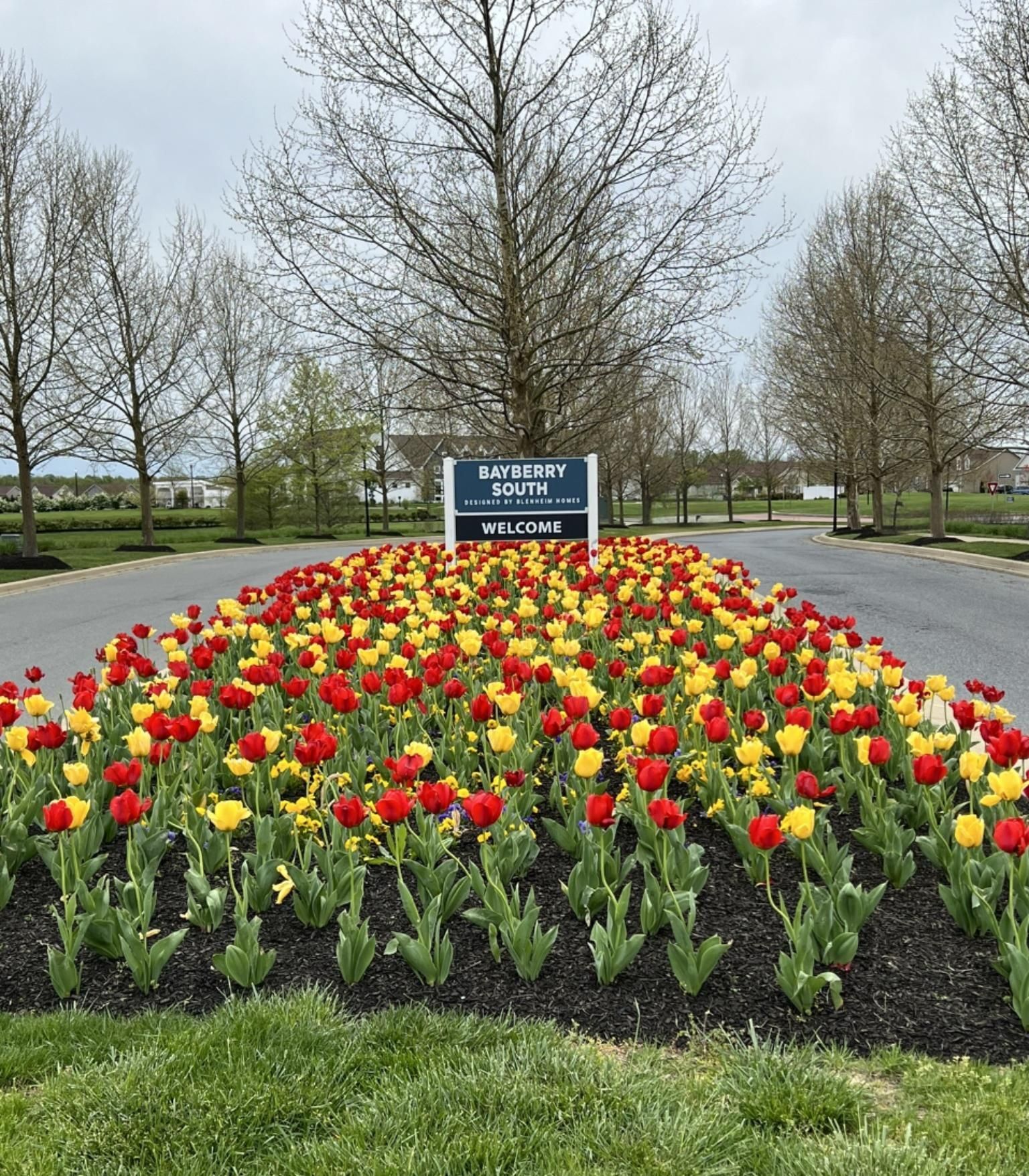 Ponds at Bayberry Entrance