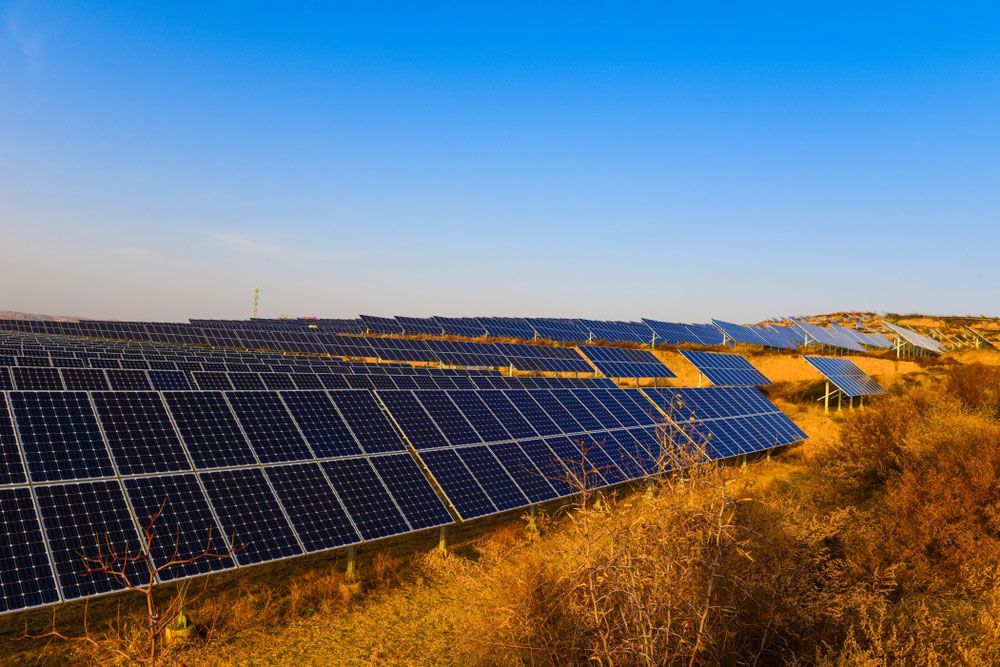 A Large Field Of Solar Panels Sitting On Top Of A Dry Grass Field — Max Fox Electrical in Armidale, NSW