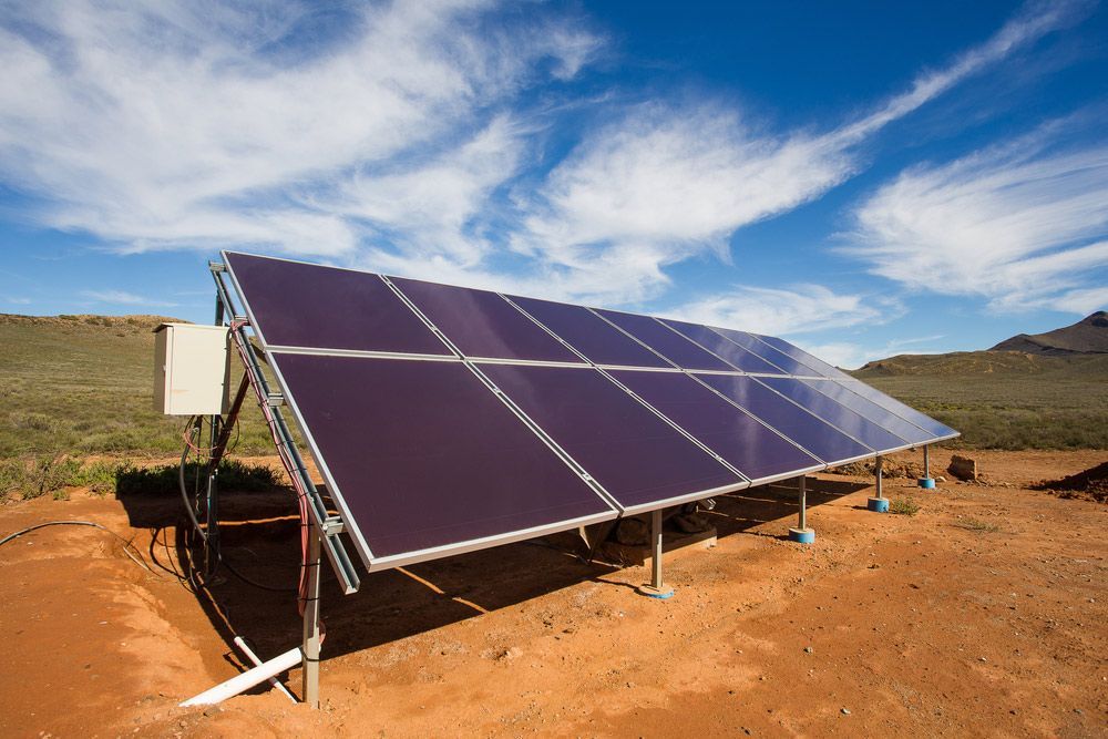 A Row Of Solar Panels Sitting On Top Of A Field — Max Fox Electrical in Taminda, NSW