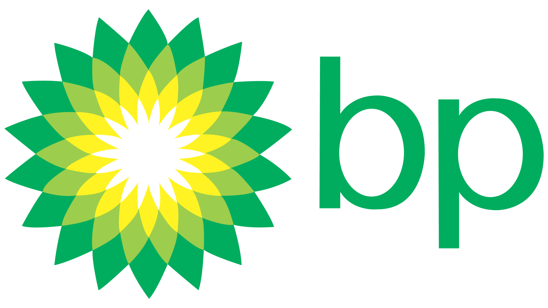 BP logo with a stylized green and yellow flower and the letters