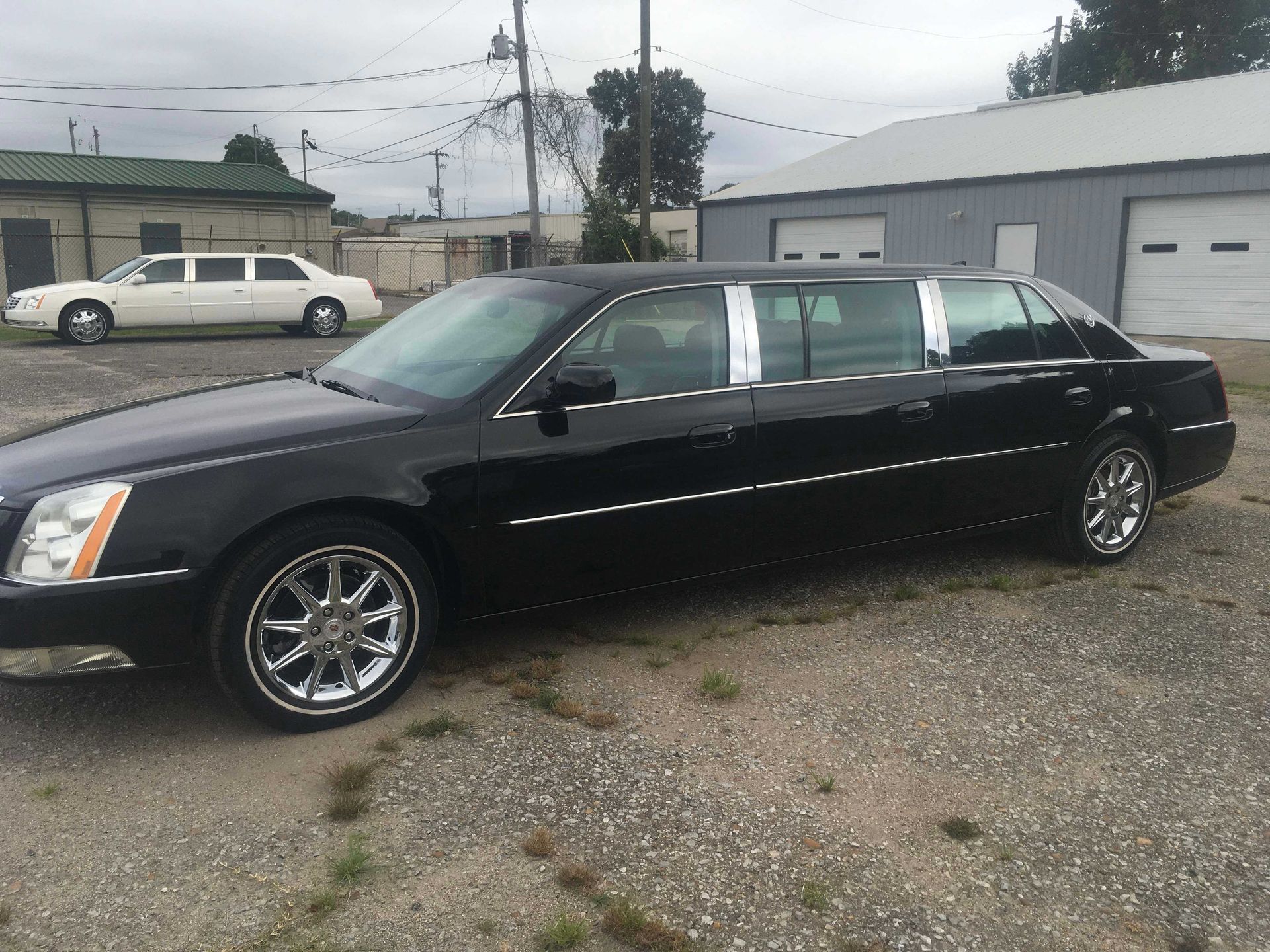 A black limousine is parked in a parking lot next to a white limousine.