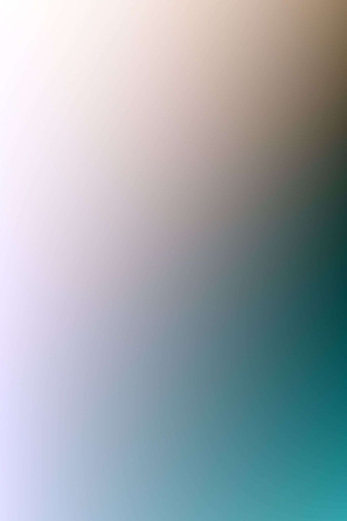 A white background with a few lines on it