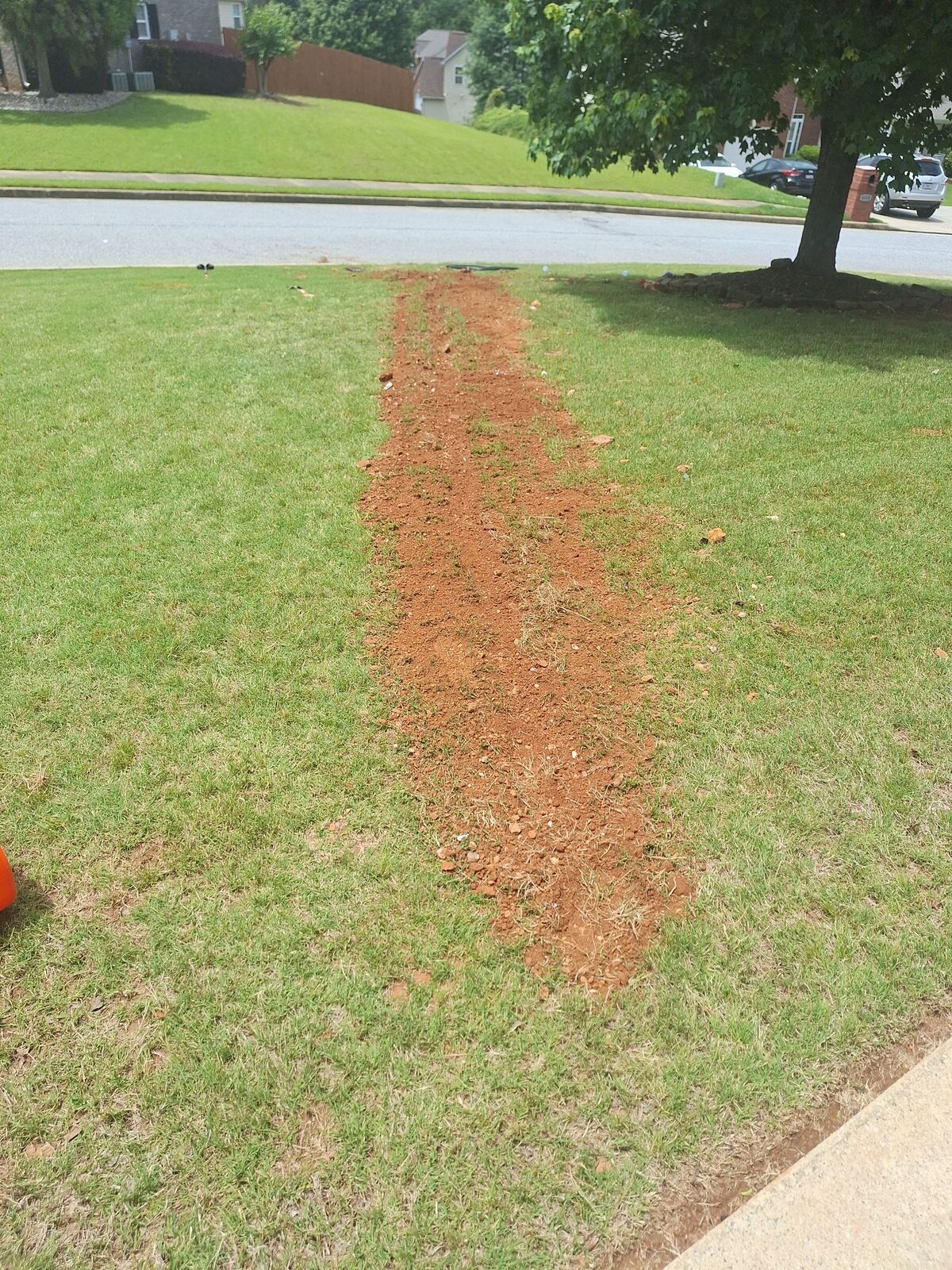 A strip of exposed red soil through a green lawn in a residential yard. A tree and street are in the background.