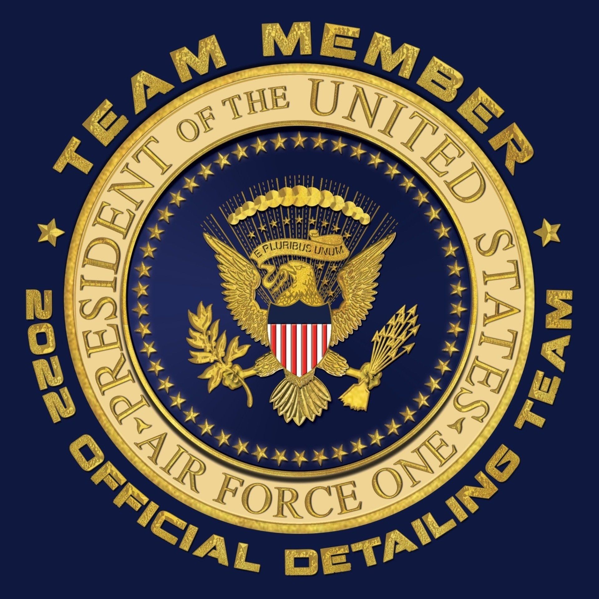 Air Force One Team Logo