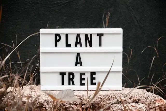 Plant A Tree