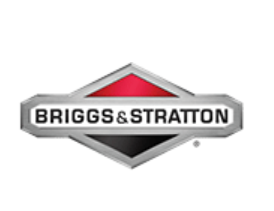 Briggs & Stratton logo in red, black, and silver