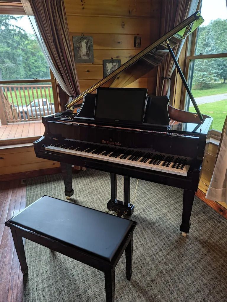 Black grand piano and bench in a wood-paneled room with large windows and curtains