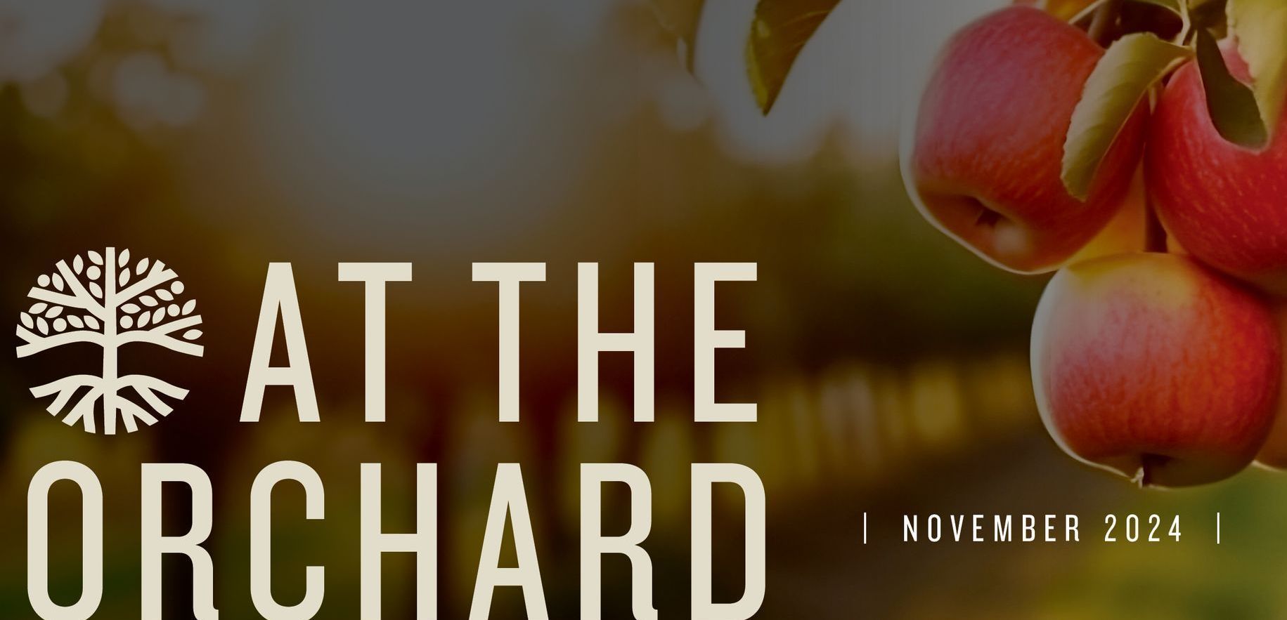 An ad for at the orchard focuses on the orchard north shore and global ministries