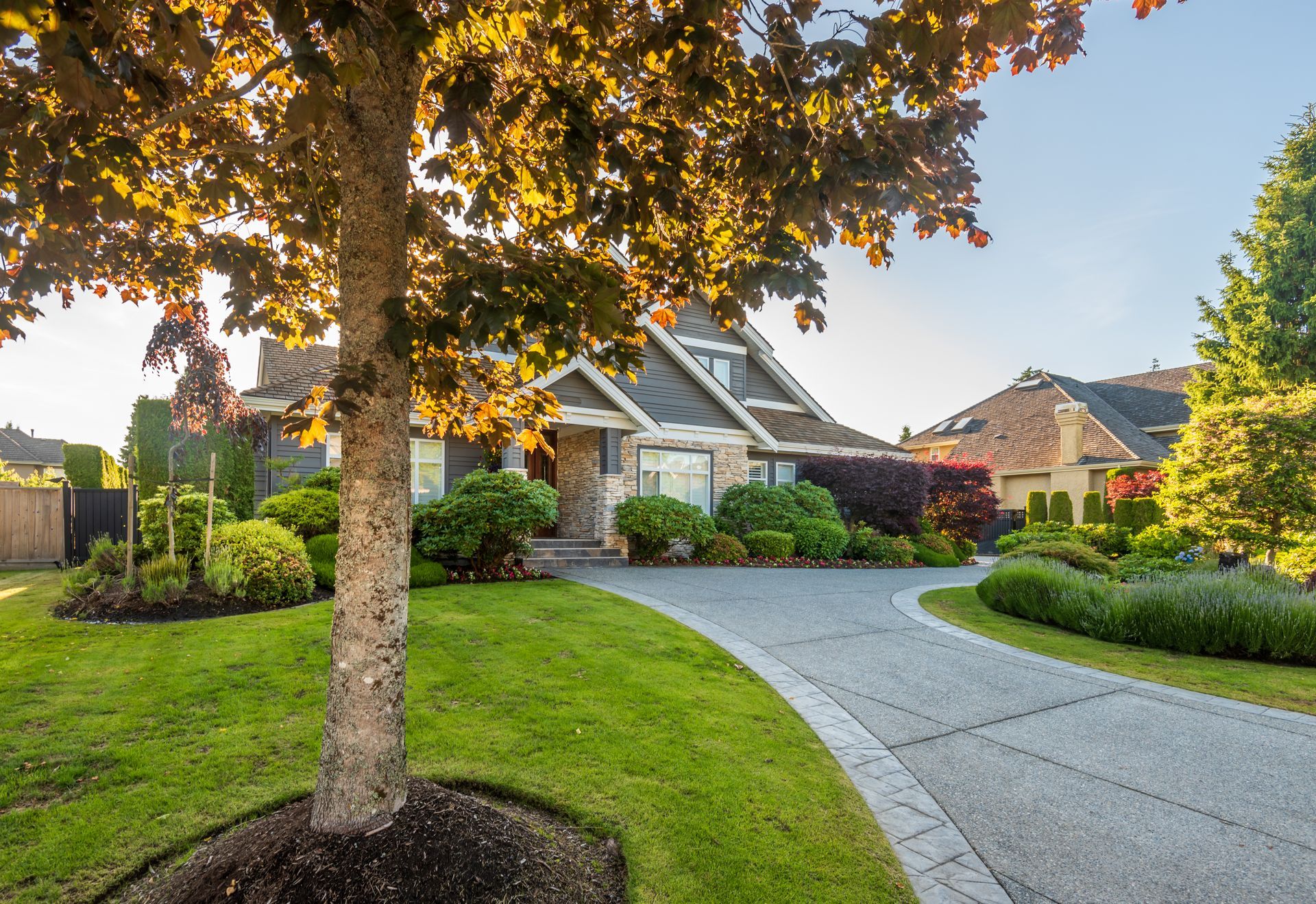 A house with a tree in front of it and a driveway.