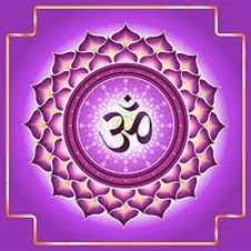 personalised psychic palm reading online from a palm photo with no personal information required, usa