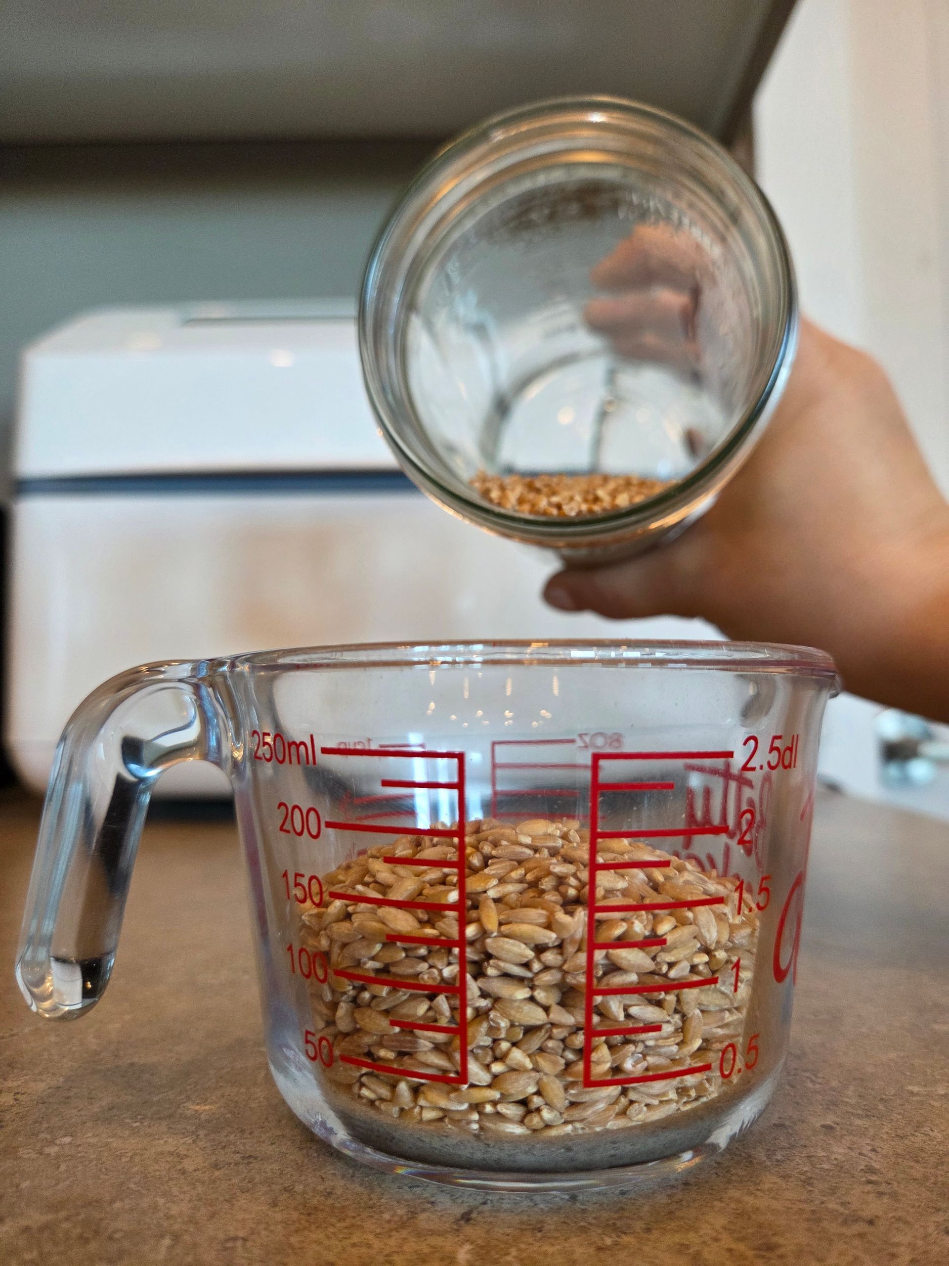 Einkorn Berries