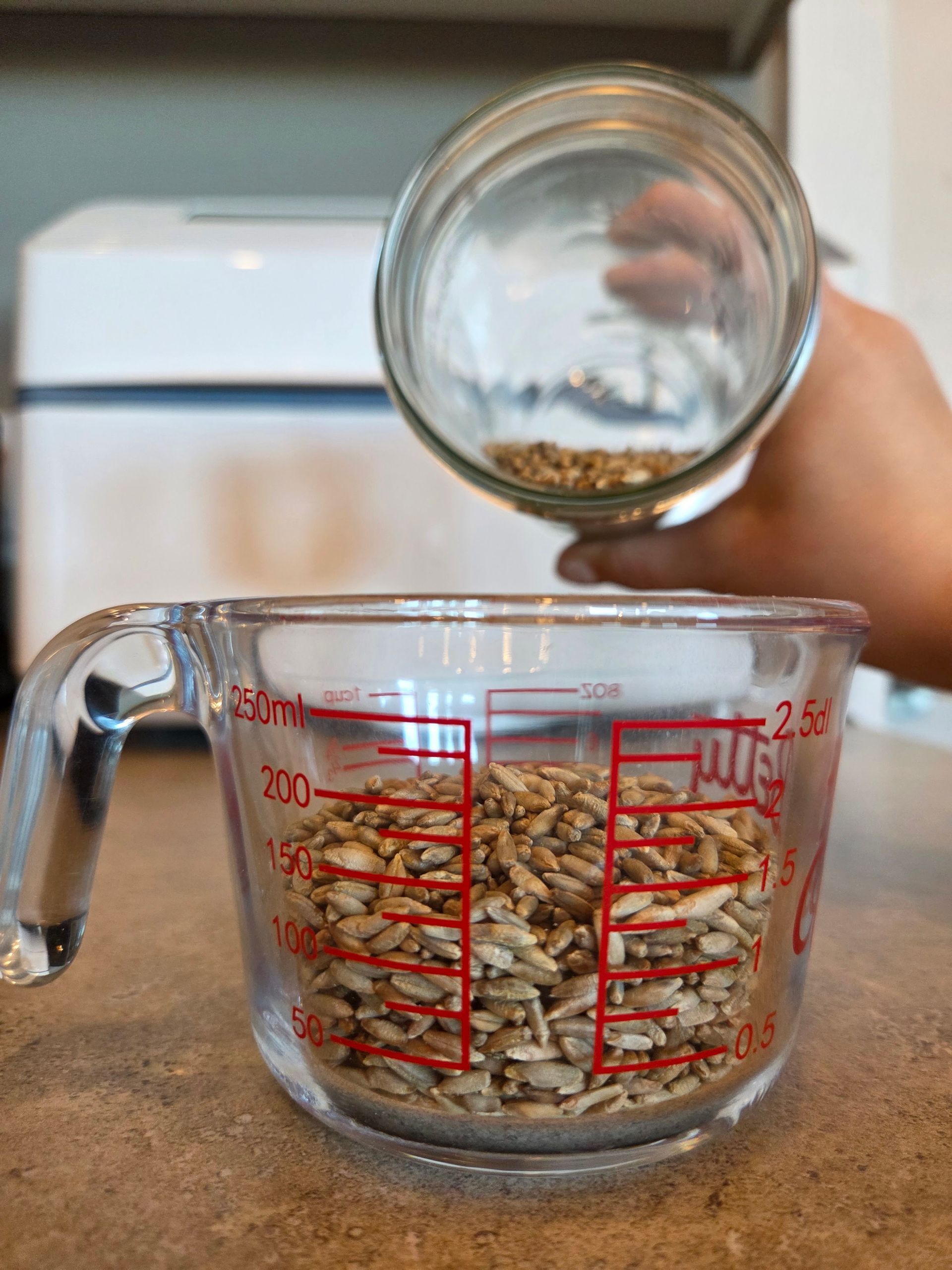 Rye Berries