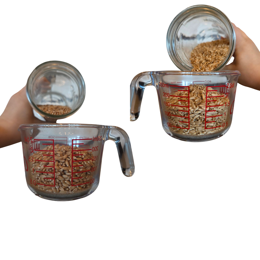 Ready to Mill Whole Grains