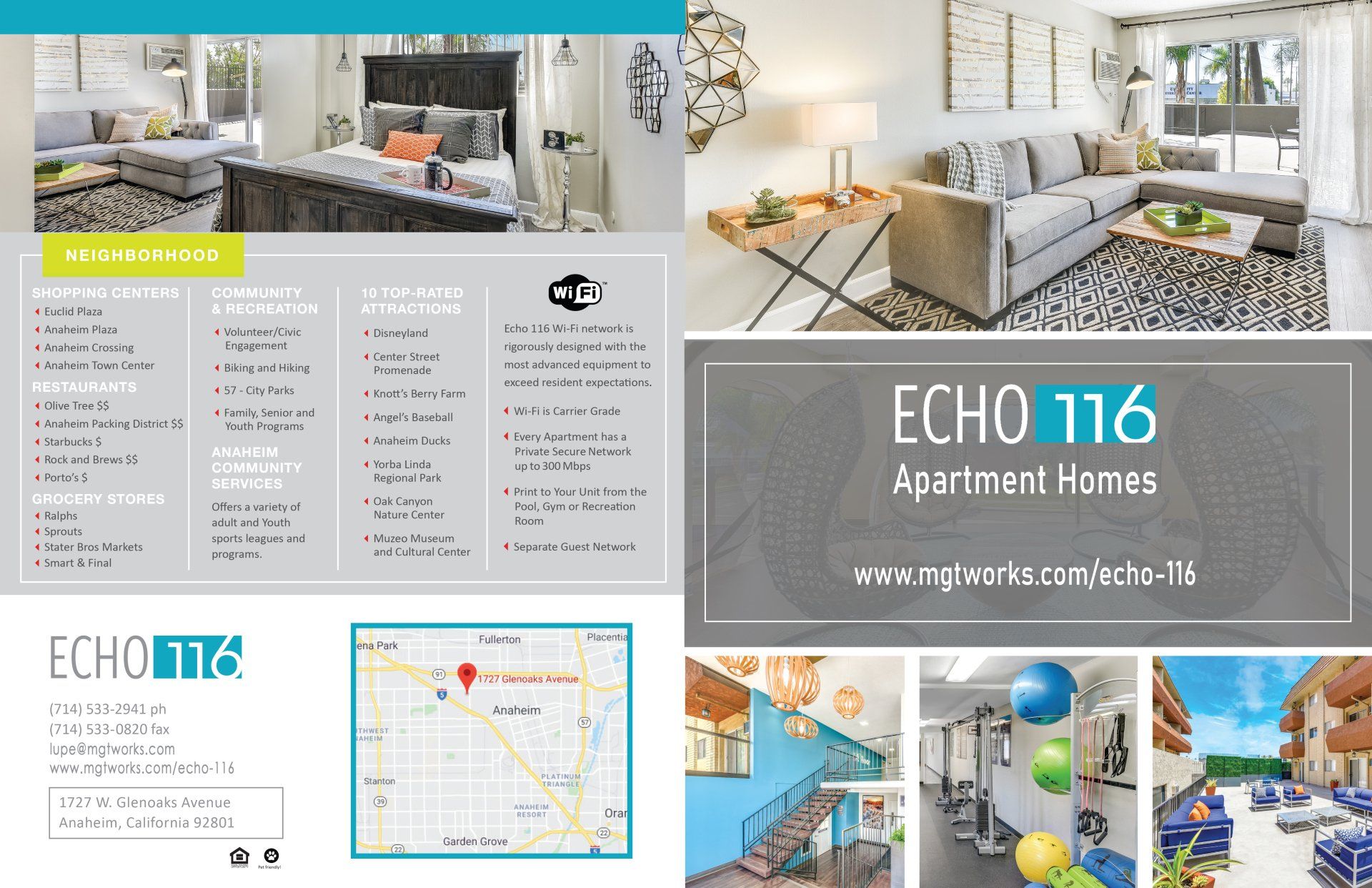 Echo marketing brochure