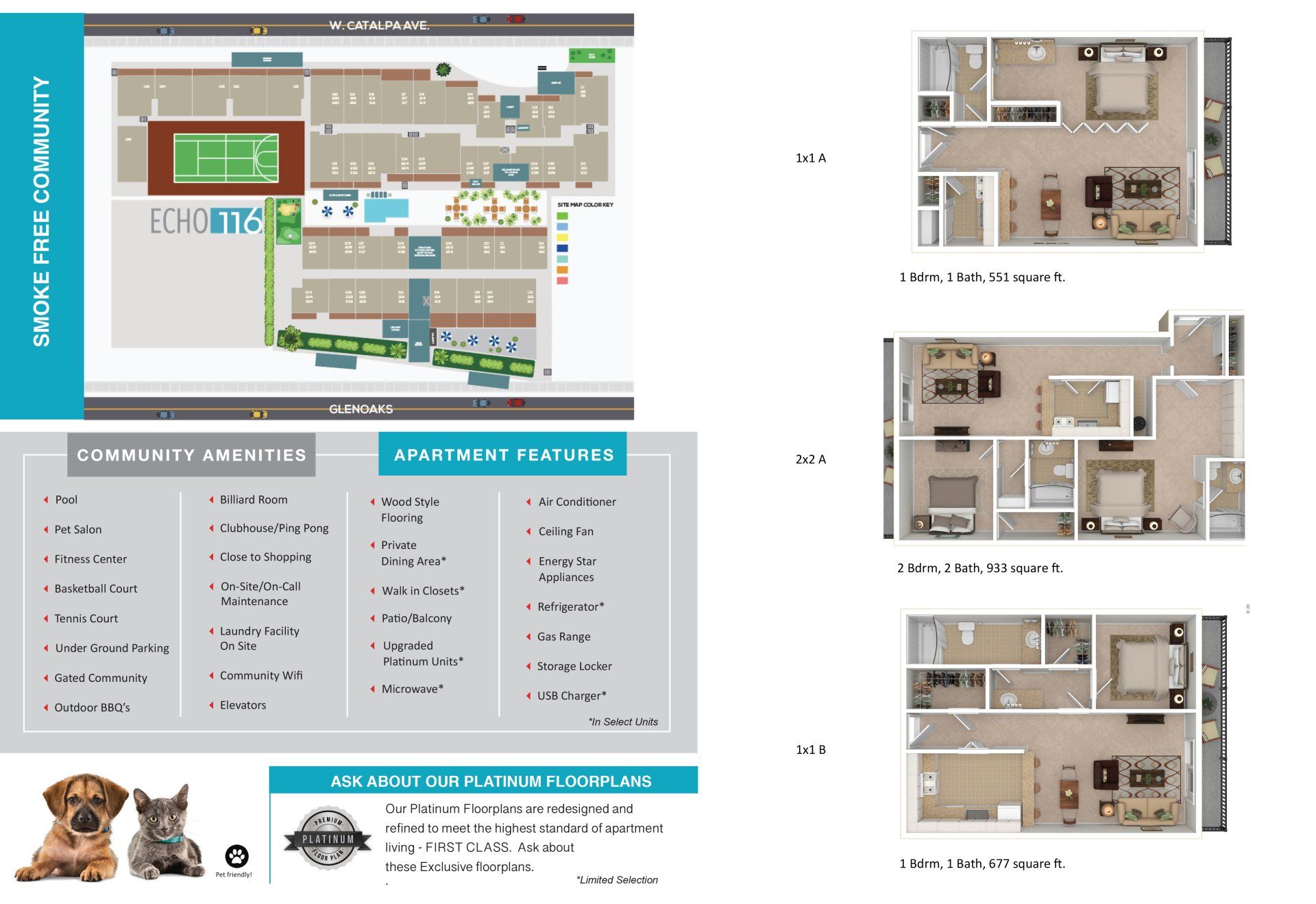 Echo 116 Apartments property image of exterior pool