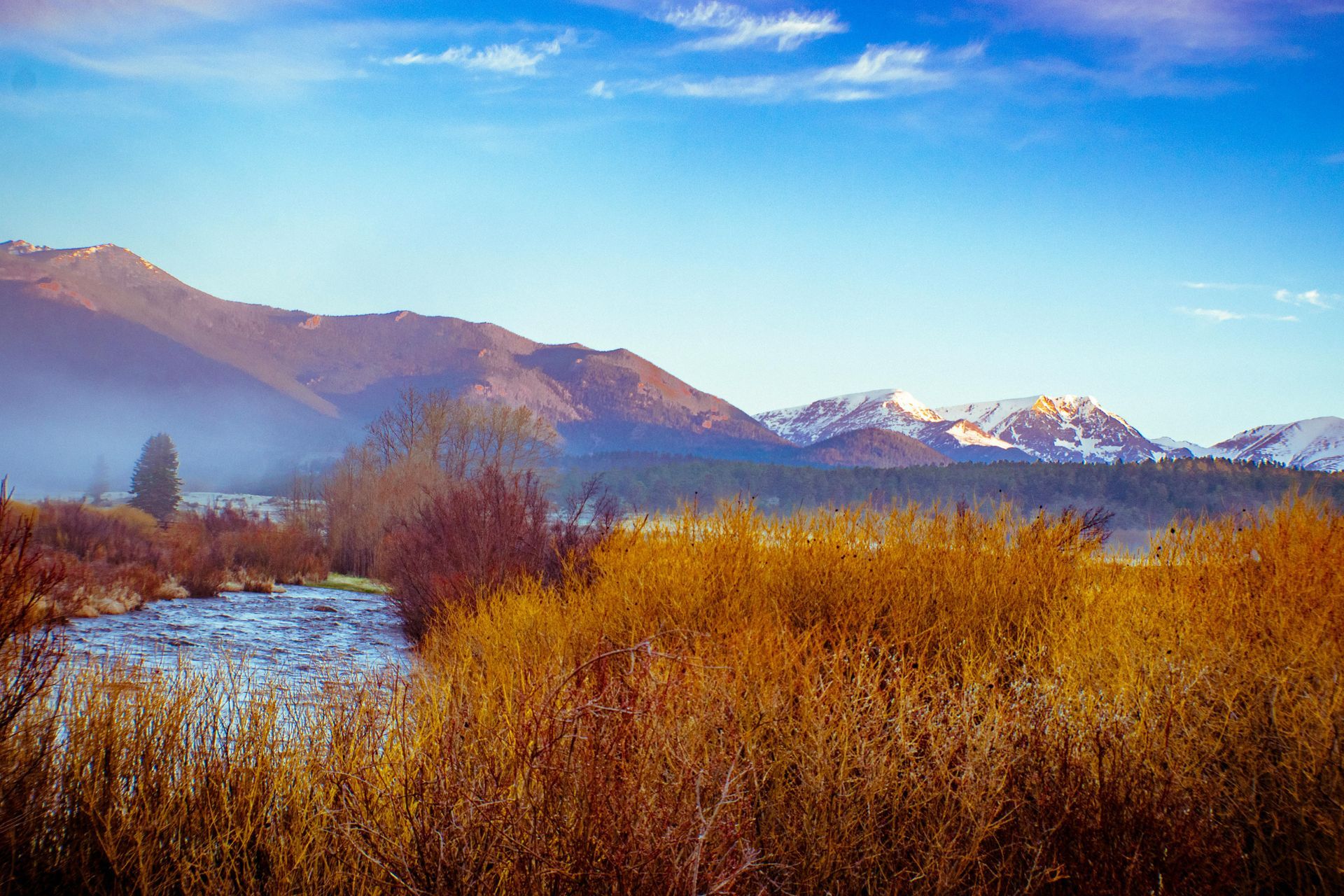 River flowing through golden-hued grasses towards snow-capped mountains under a blue sky.