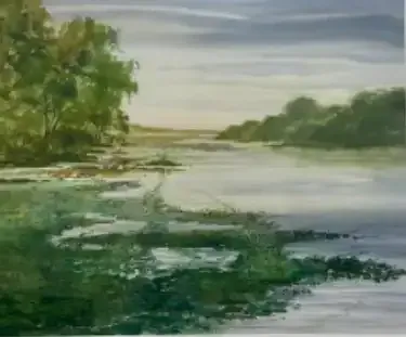 Calm river landscape with green trees, marshy shoreline, and a cloudy sky