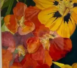 Close-up of vibrant red, orange, and yellow flowers with dark centers.