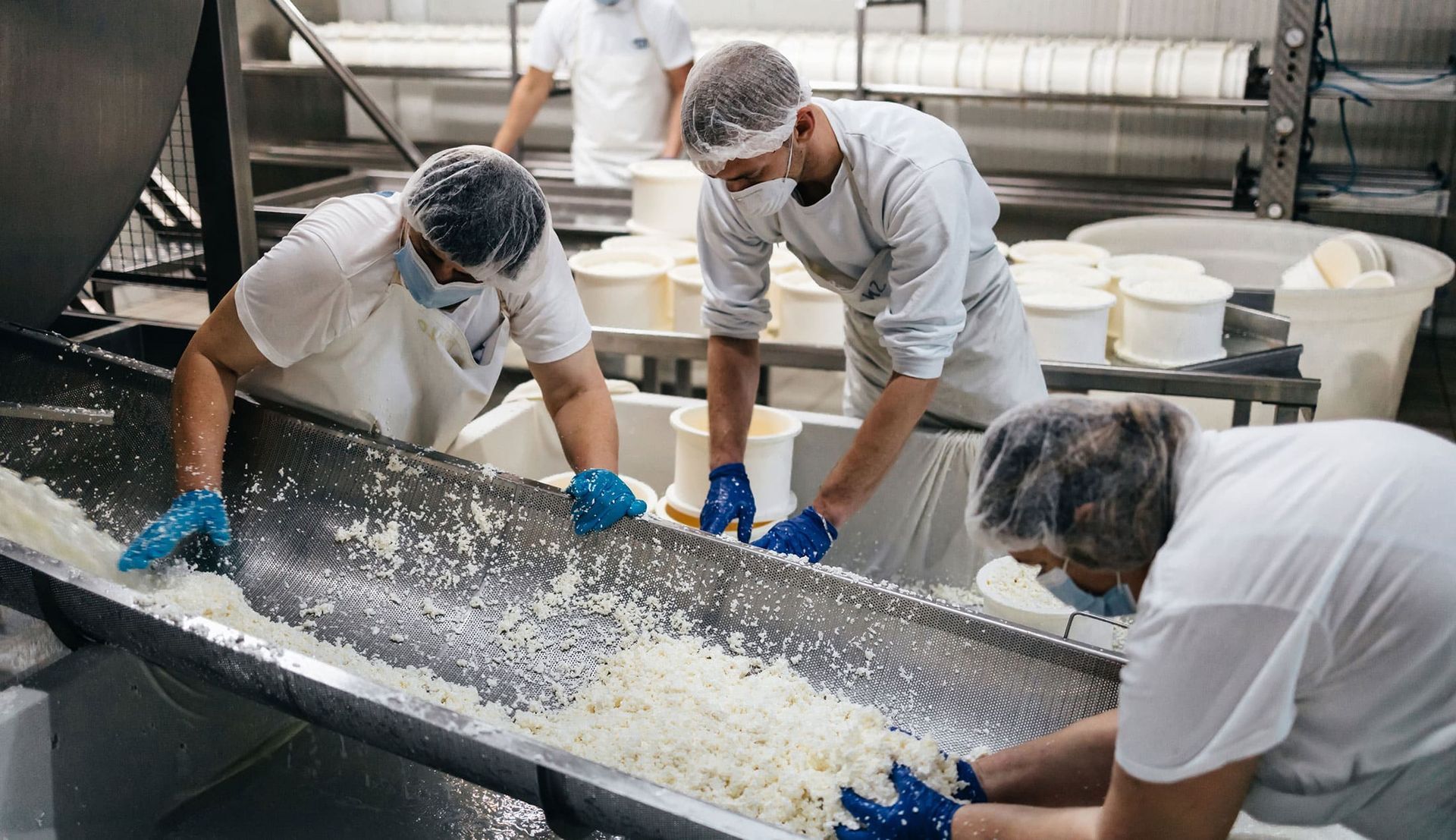Workers in hairnets and gloves sorting white food pieces on a conveyor in a factory
