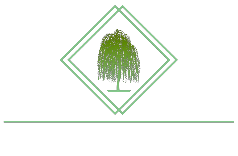 A green willow tree illustration centered inside a double diamond frame, positioned above a horizontal line.