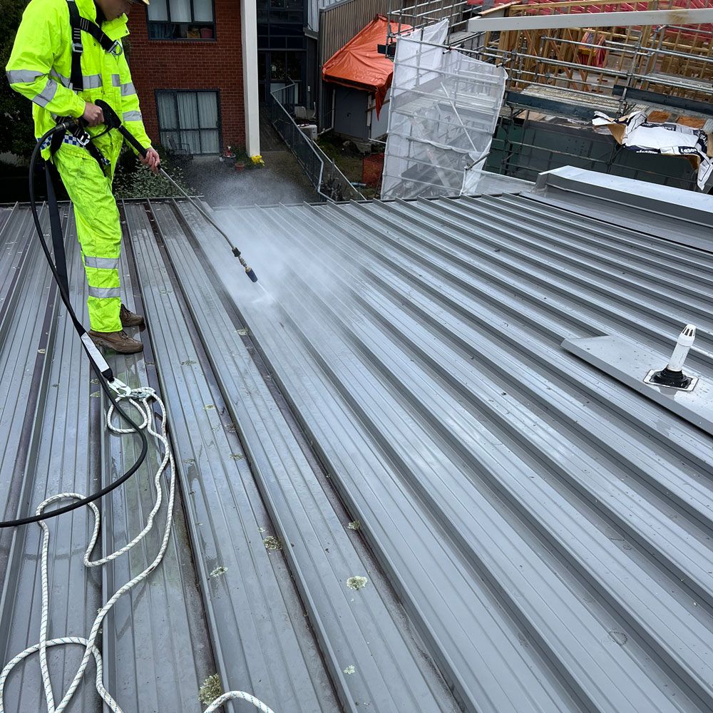 Professional Cleaners Auckland, NZ AA Cleaning