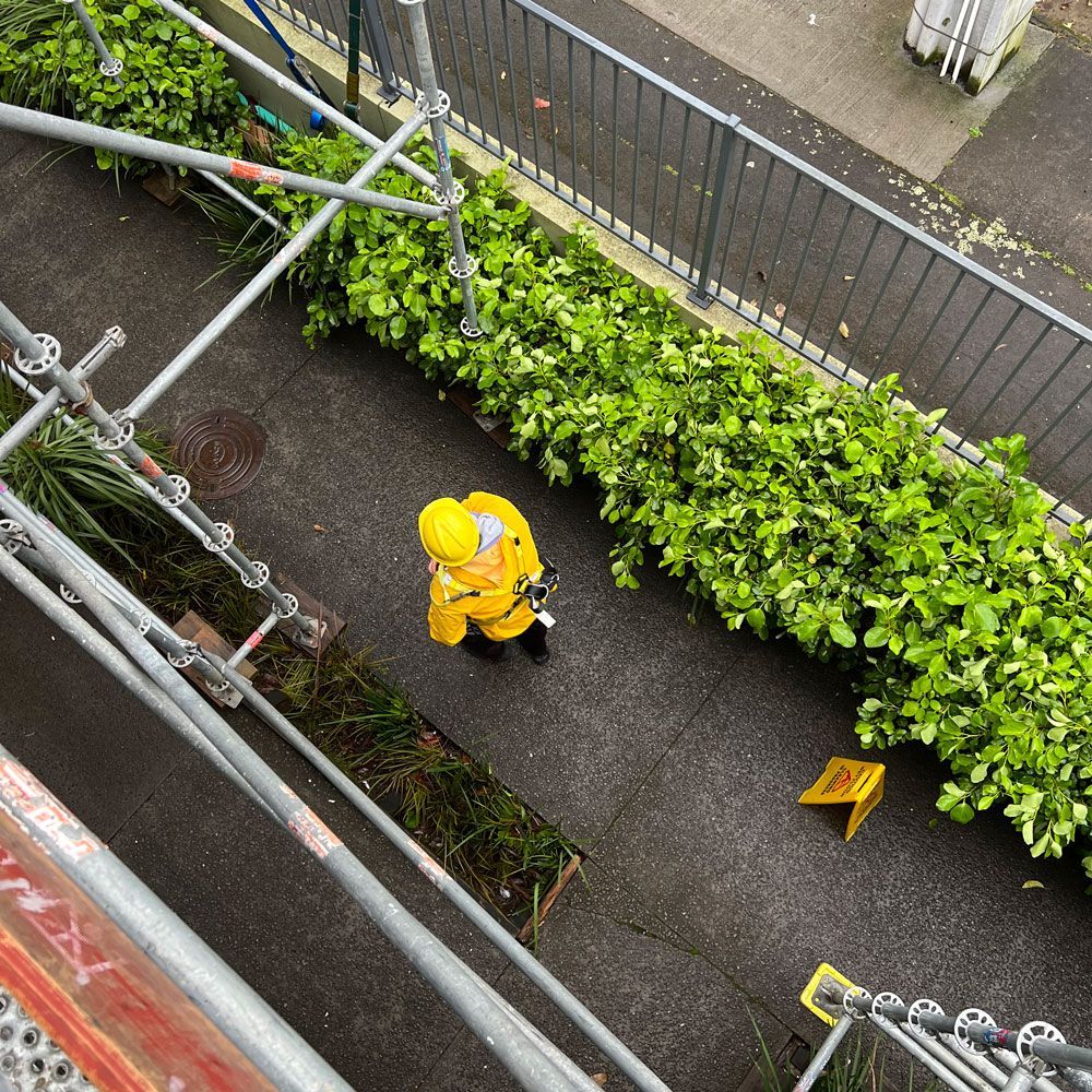 Man Wearing Safety Equipment — Auckland, NZ — AA Cleaning Pty Ltd