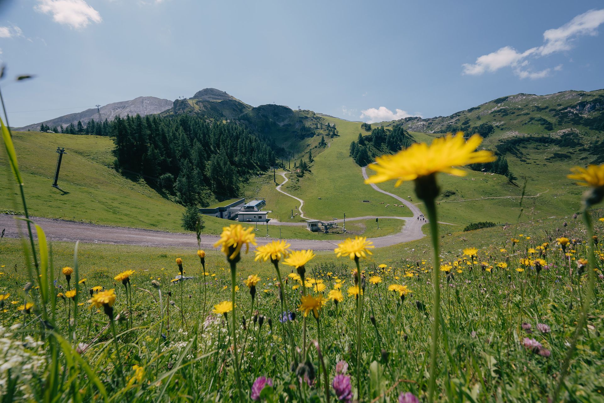 Frühling Altenmarkt-Zauchensee