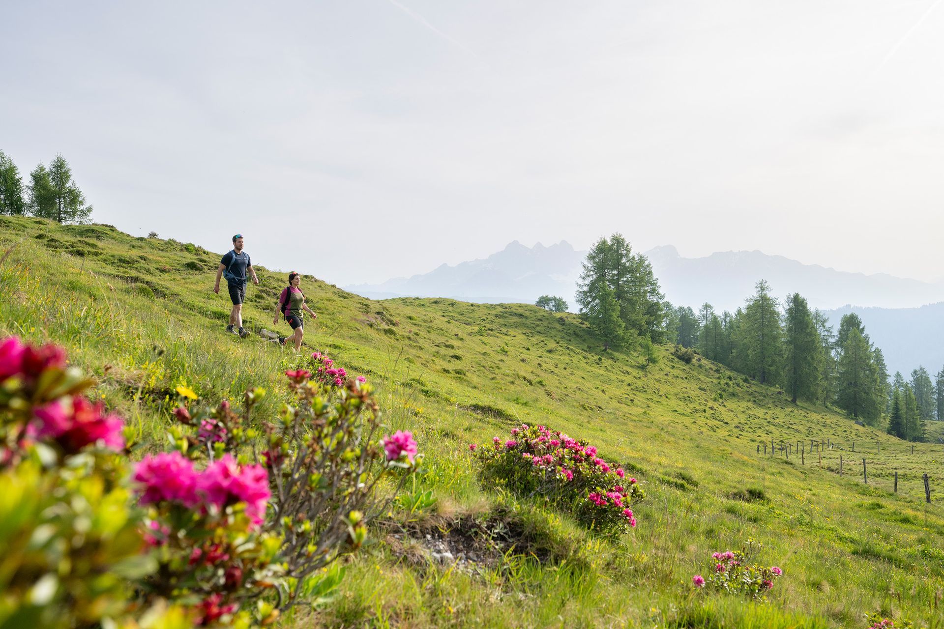 Wander Altenmarkt-Zauchensee