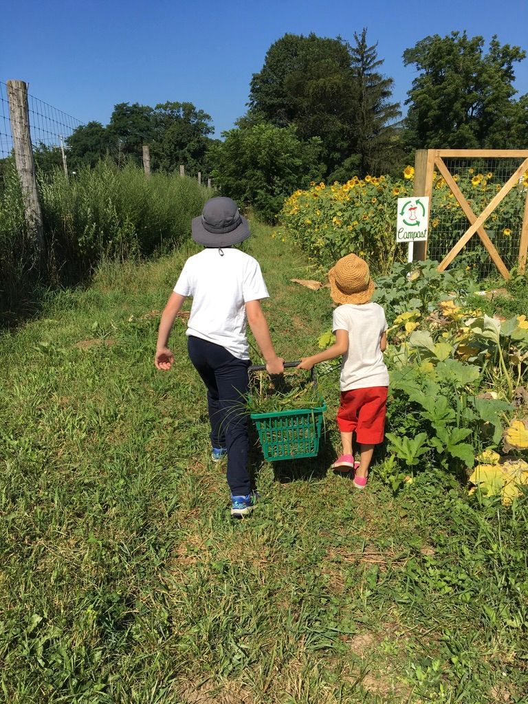 Two children in hats walking in a garden path, carrying a basket.