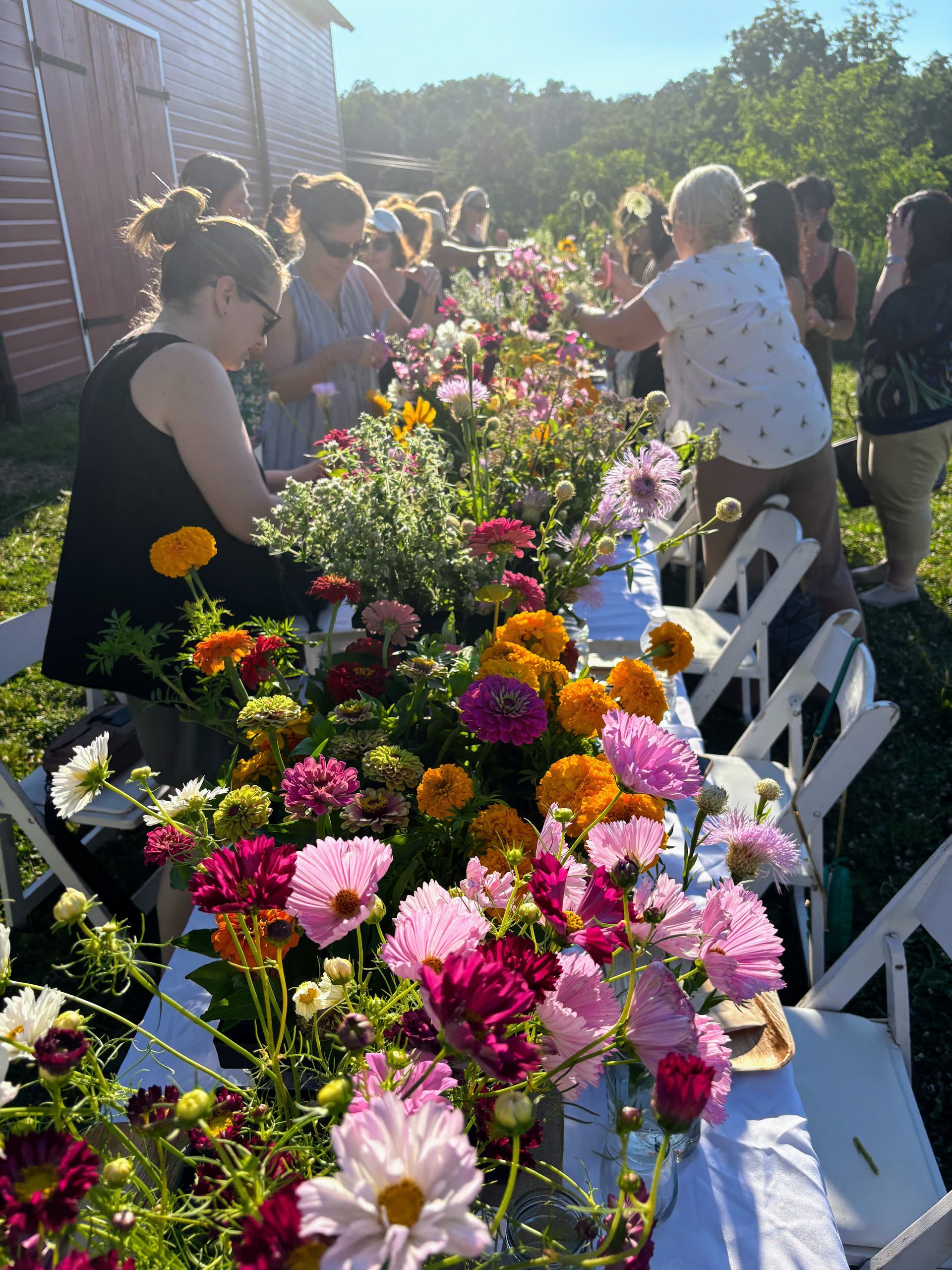 People arranging colorful flowers at a long table outdoors, near a red barn. Sunny day.