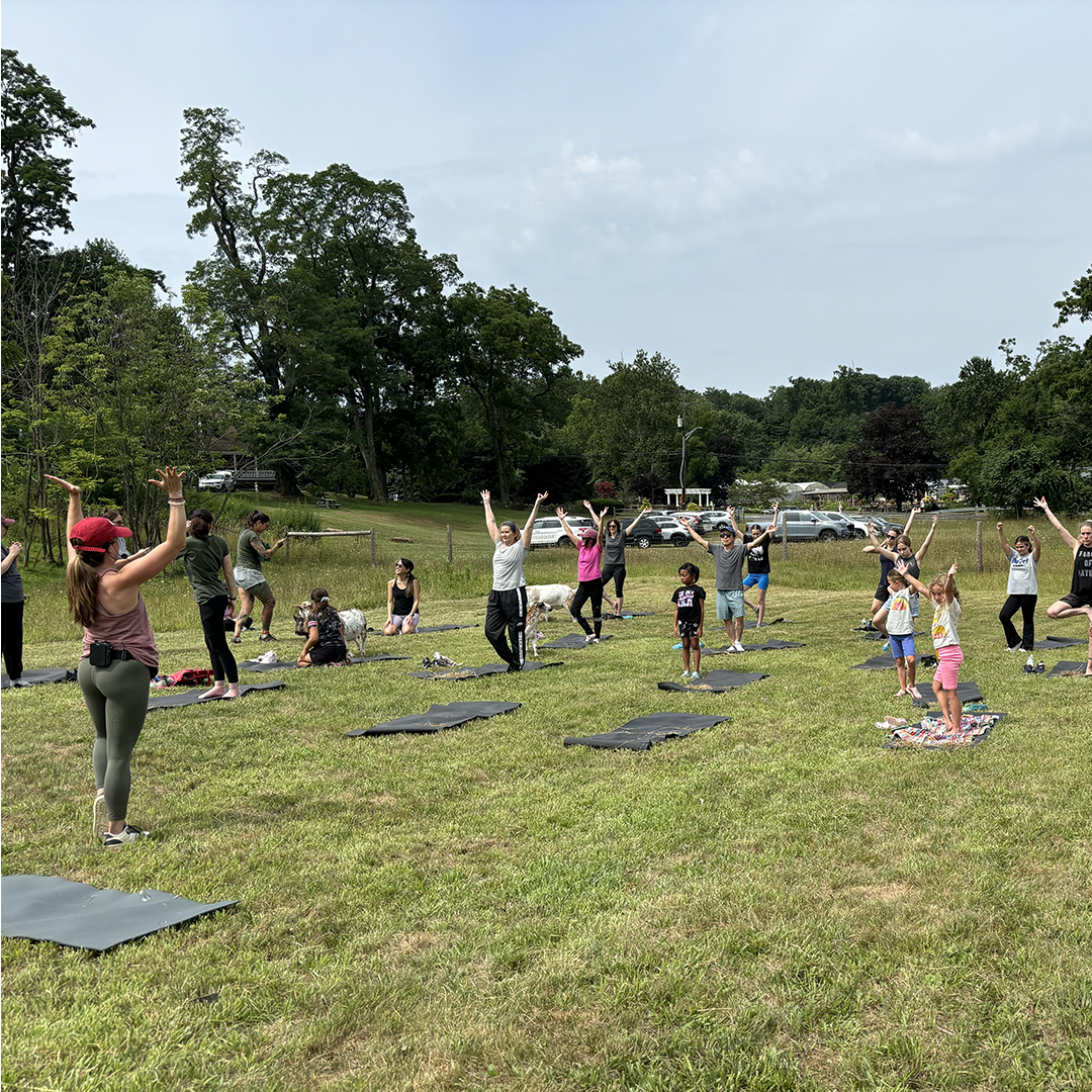 People practicing yoga outdoors in a grassy field on a sunny day with their arms raised.