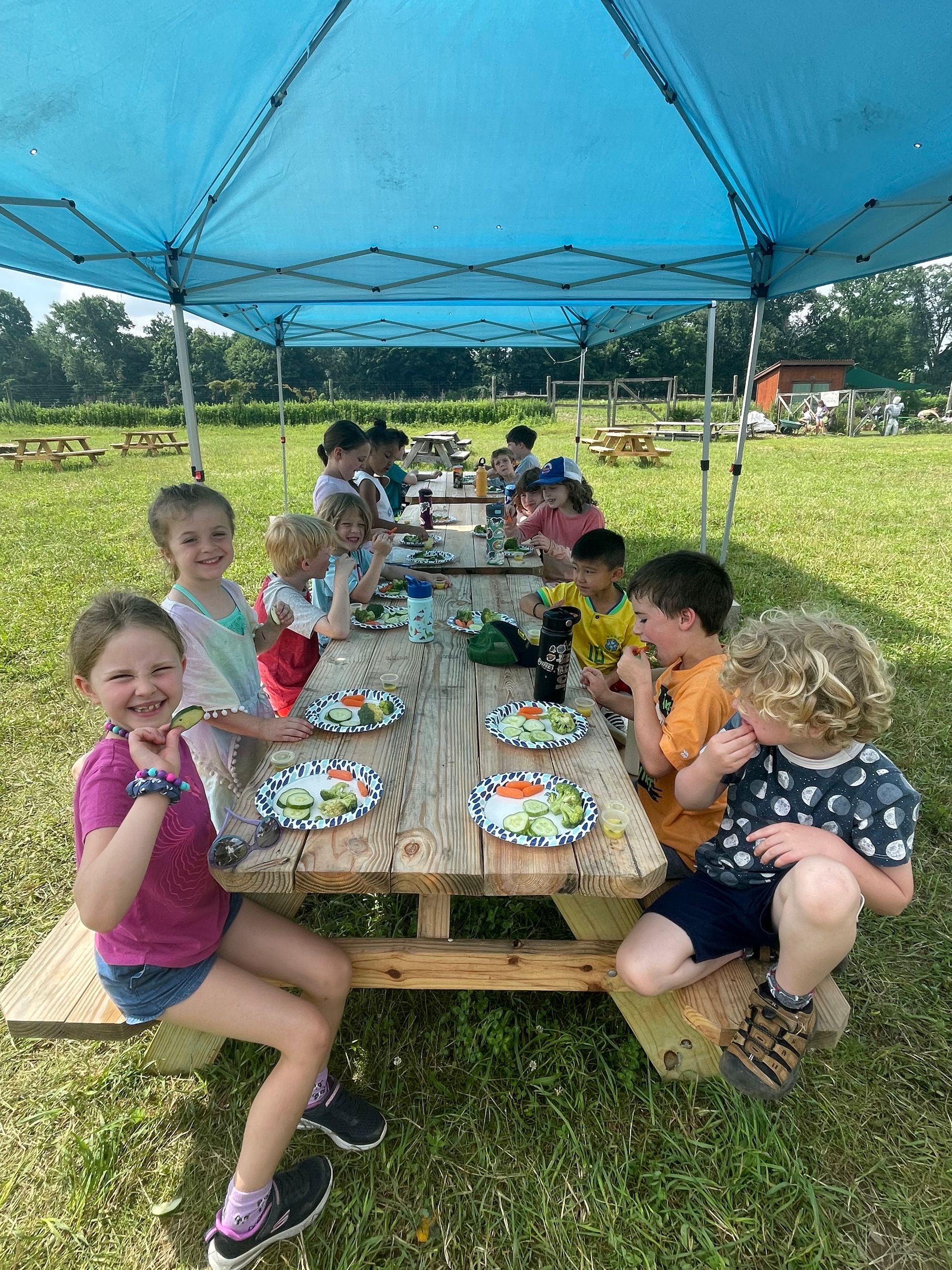 Children eating at picnic tables under a blue canopy on a sunny day.
