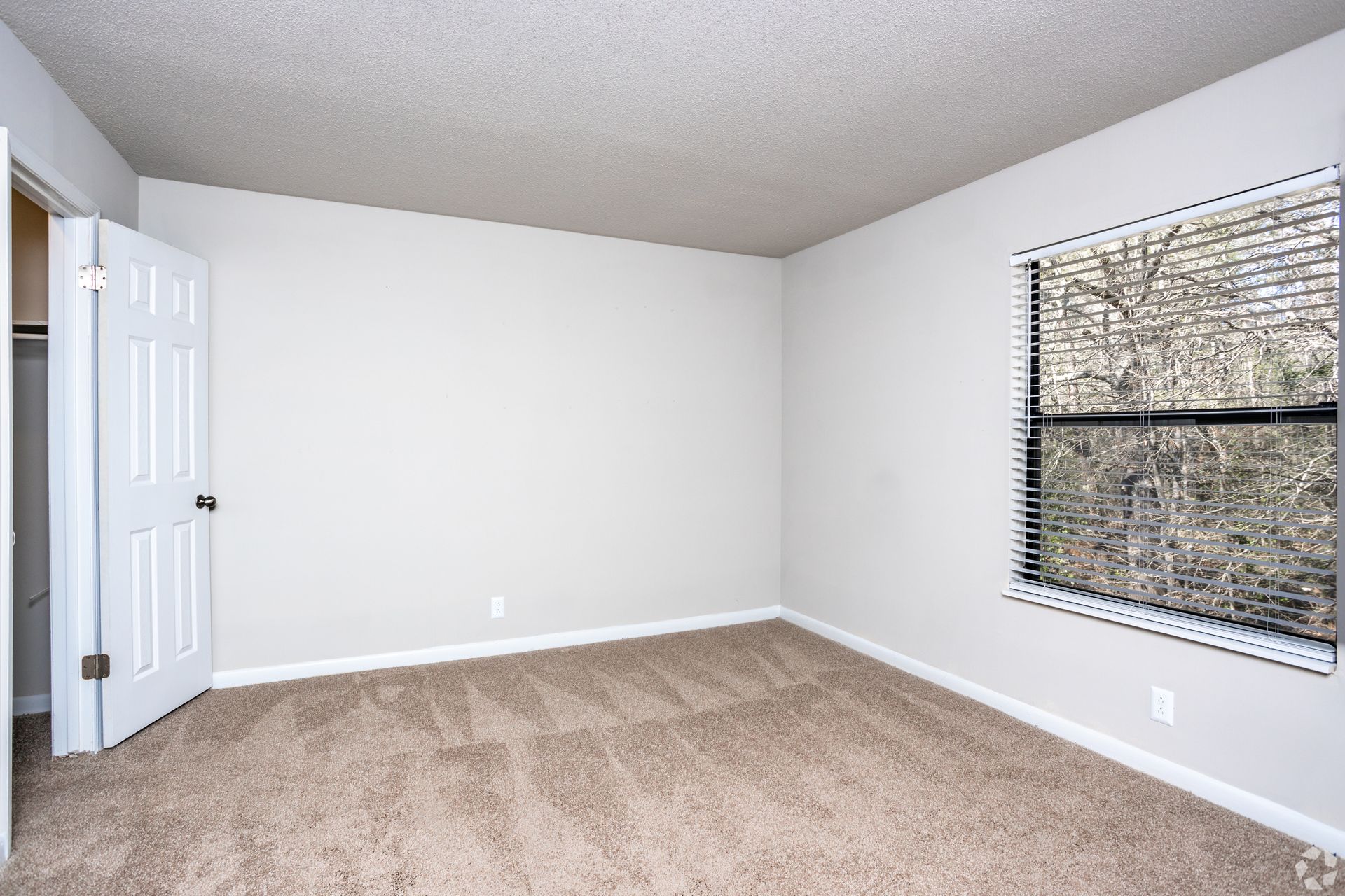 An empty, neutral-colored bedroom featuring carpeted flooring, a white closet door, and a large window with blinds.