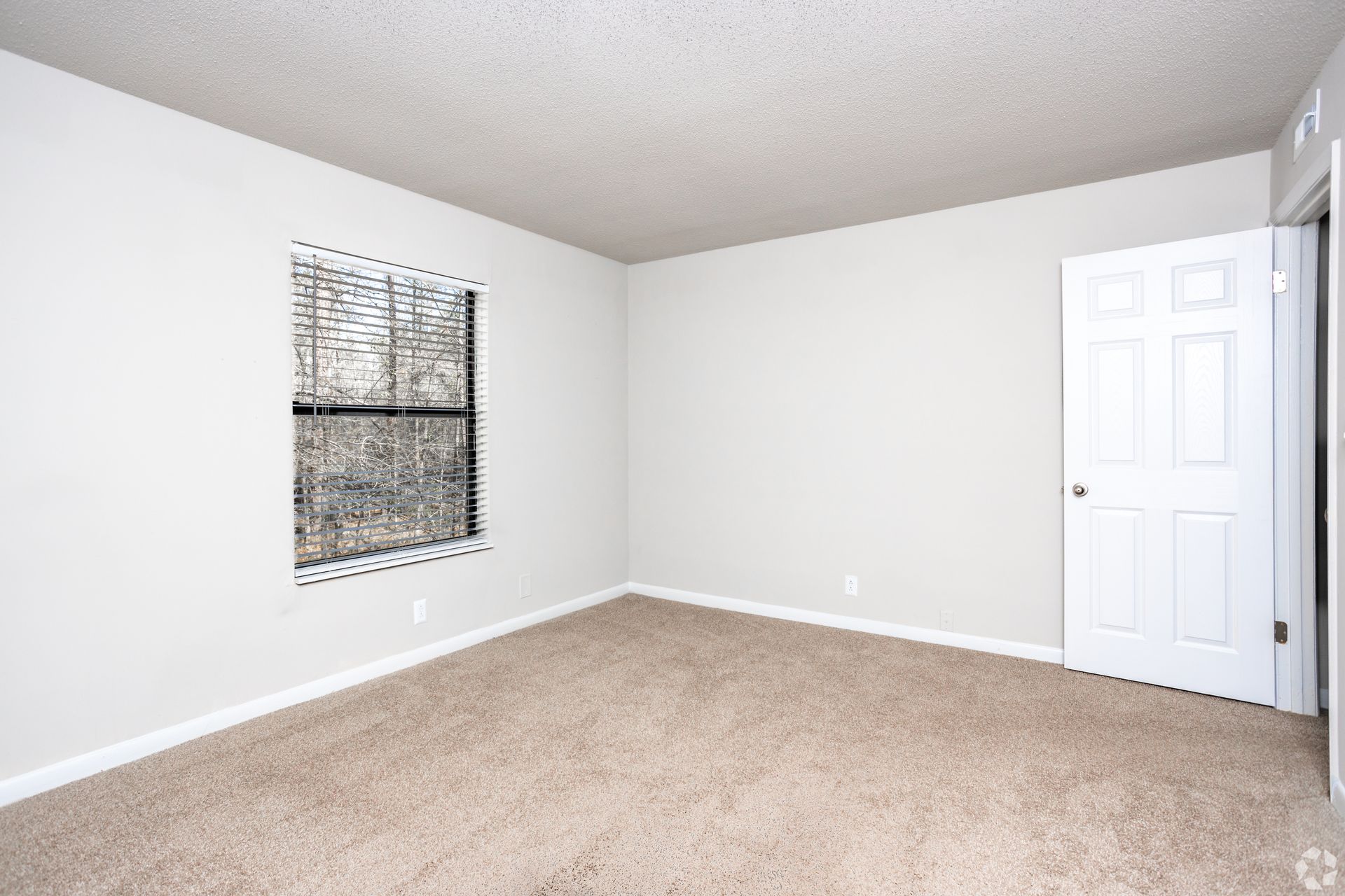 An empty room with beige carpet, light gray walls, a window with closed dark blinds, and a white six-panel door.