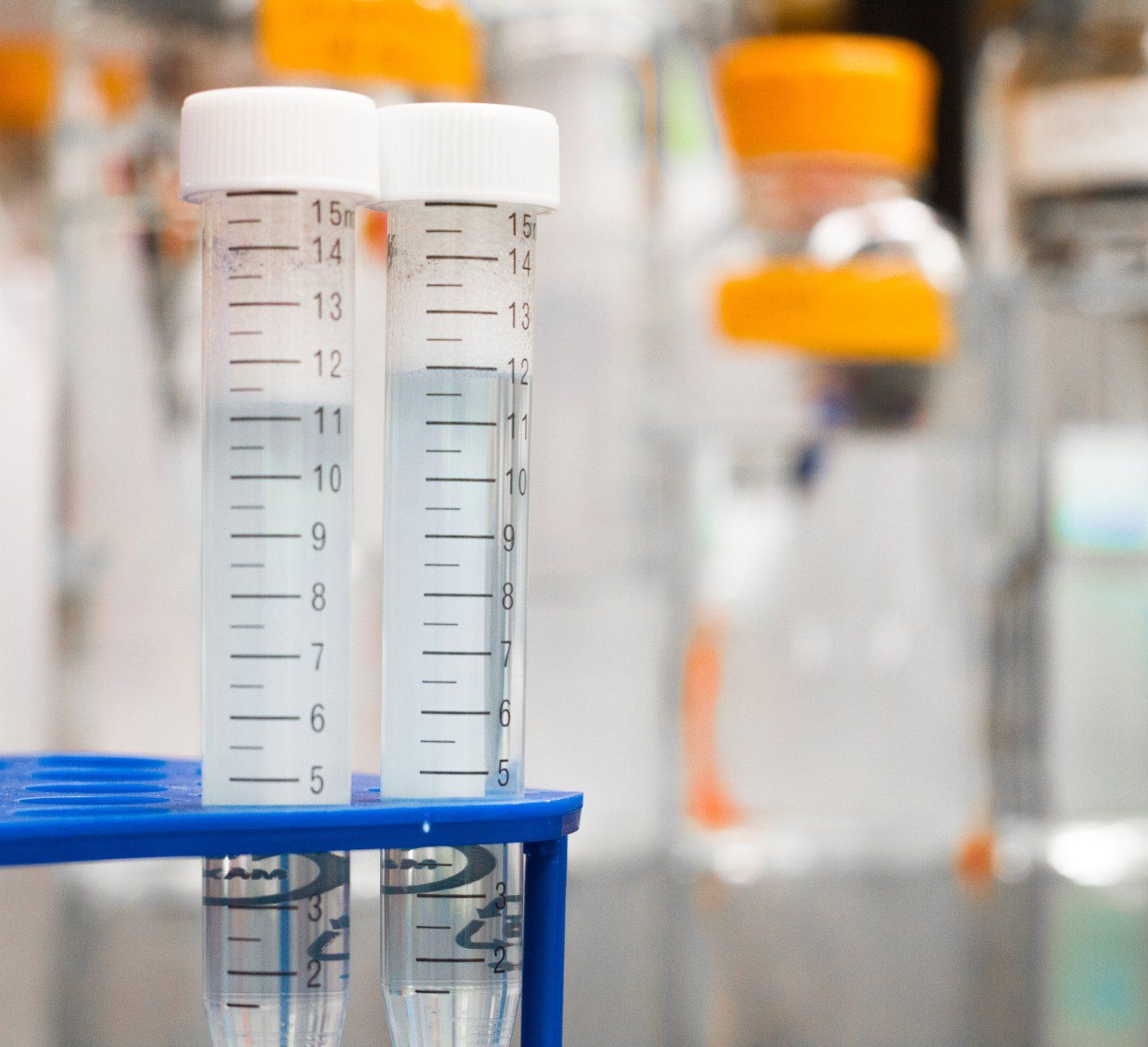 Two test tubes are sitting on a blue rack in a laboratory.