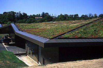 A house with a green roof and trees in the background