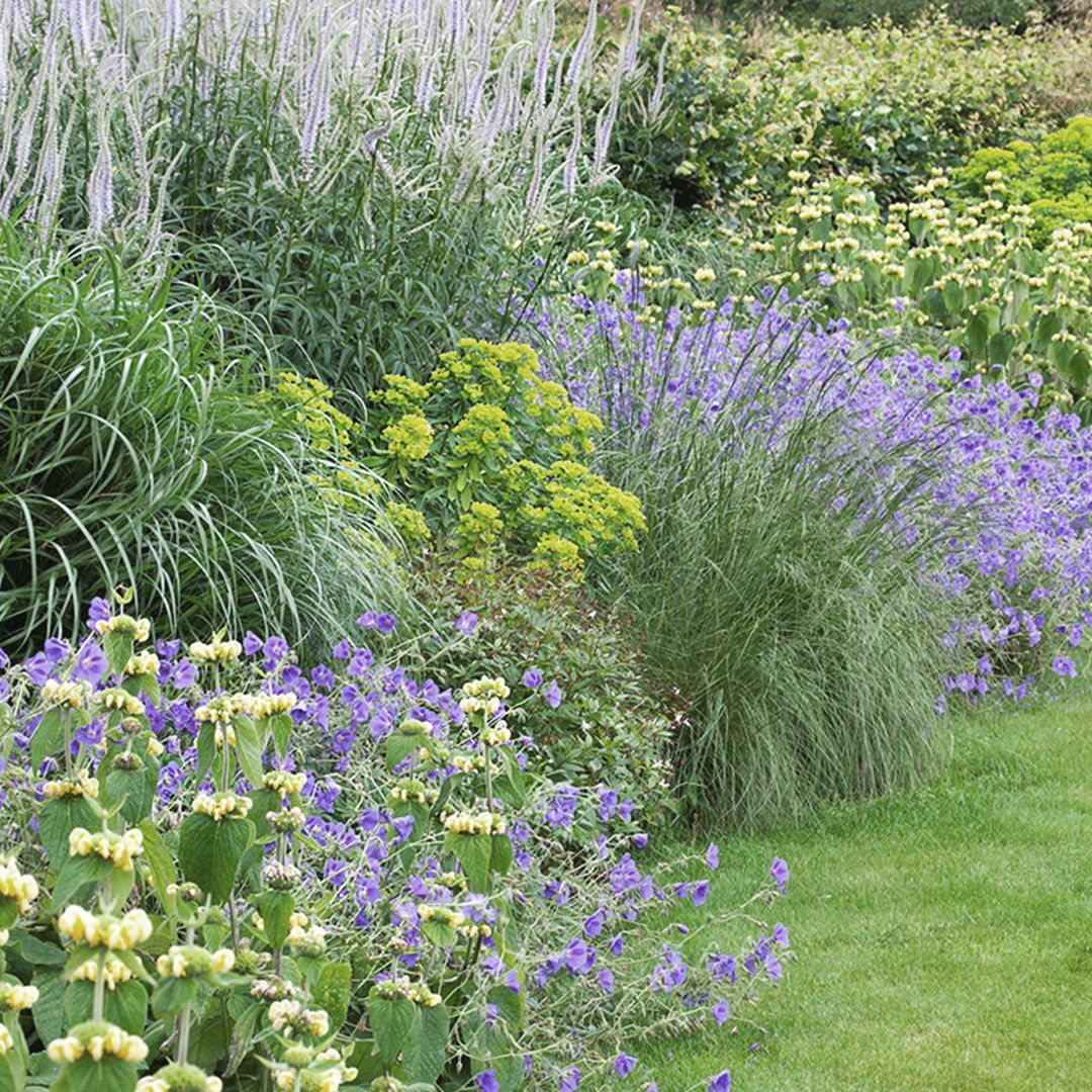 Vaste plantenborder