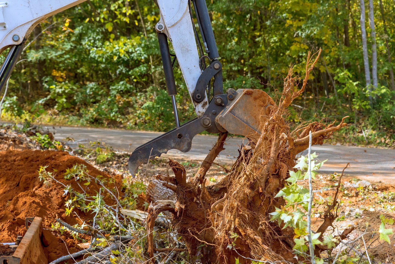 Bobcat removing tree roots near a dirt road, showing machinery and exposed roots.