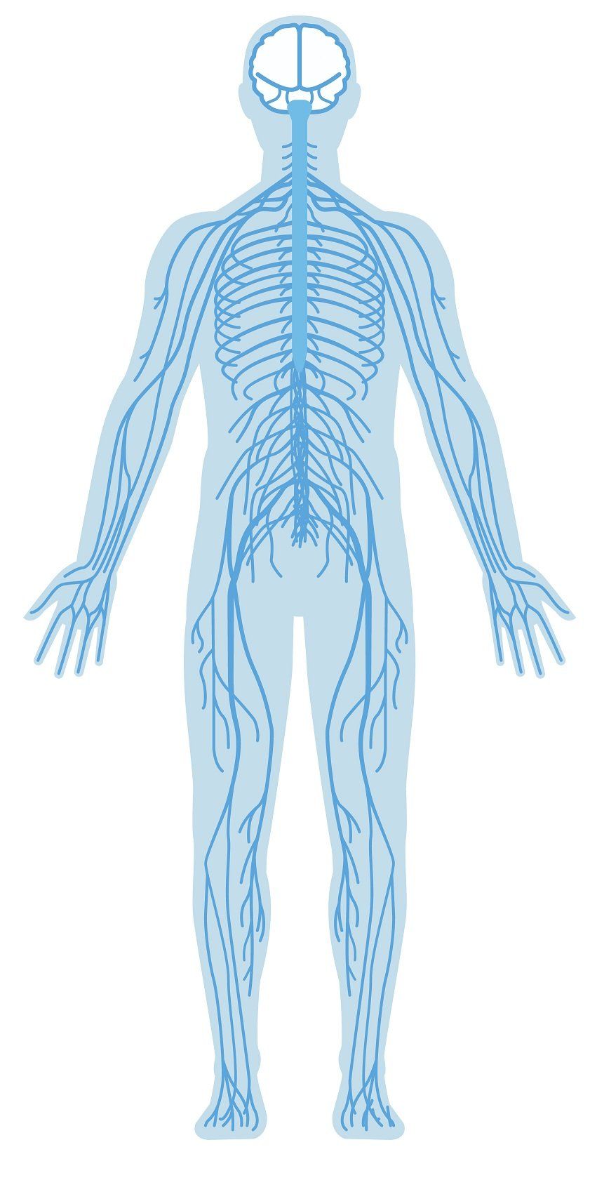 Chiropractic Care