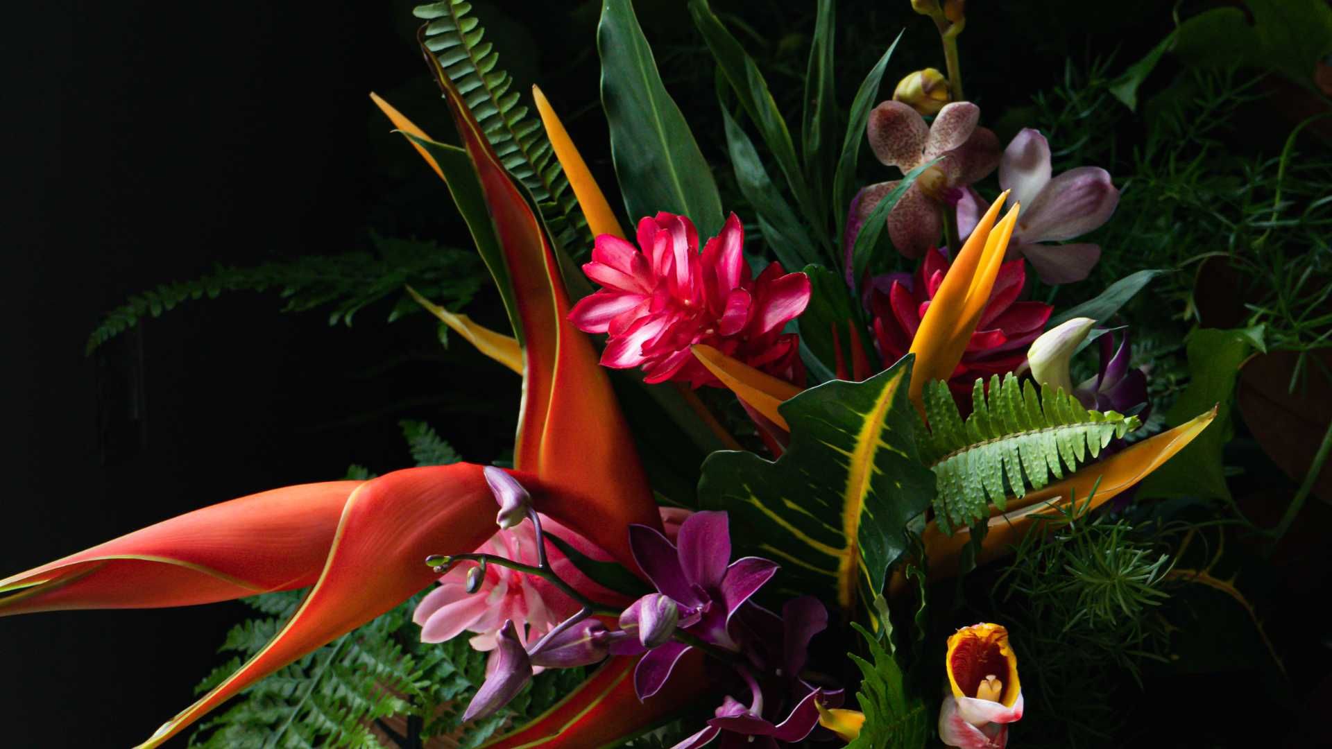 Orchids West Palm Beach, FL (561) 8452072