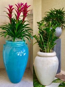 garden gallery