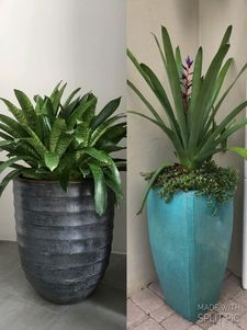 garden gallery