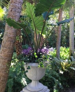 garden gallery