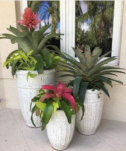 garden gallery