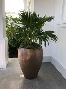 garden gallery
