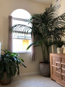 garden gallery
