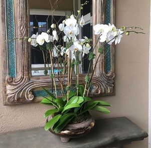 garden gallery