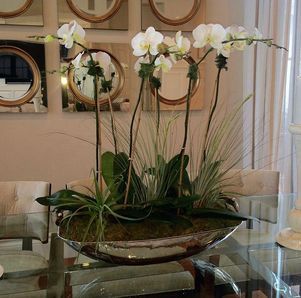 garden gallery