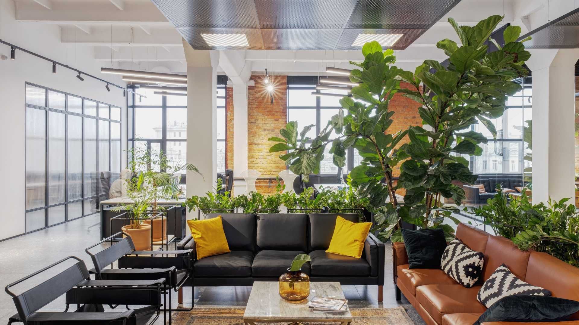 Interior Trees